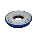 Shampoonierbürste für Ghilbi C 143 Ergoline