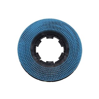 Shampoonierb&uuml;rste f&uuml;r Hako  Scrubmaster E 530