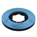 Shampoonierb&uuml;rste f&uuml;r Hako  Scrubmaster B 530