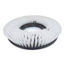 Schrubbb&uuml;rste f&uuml;r Fiorentini Smile&nbsp;70