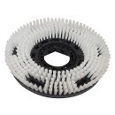 Schrubbb&uuml;rste f&uuml;r Floor 60