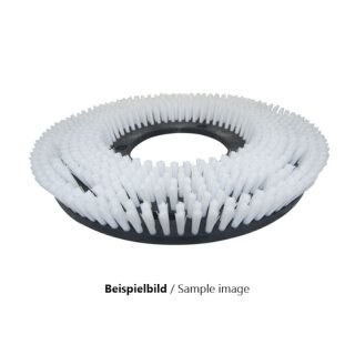 Schrubbb&uuml;rste f&uuml;r Clarke FM 1800