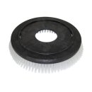 Schrubbb&uuml;rste f&uuml;r Clarke FM 2400