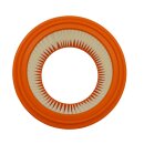 Luftfilter f&uuml;r Gisowatt GSW 10