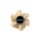 Kehrwalze 5K f&uuml;r Weidner 13001